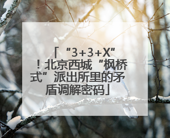 “3+3+X”！北京西城“枫桥式”派出所里的矛盾调解密码