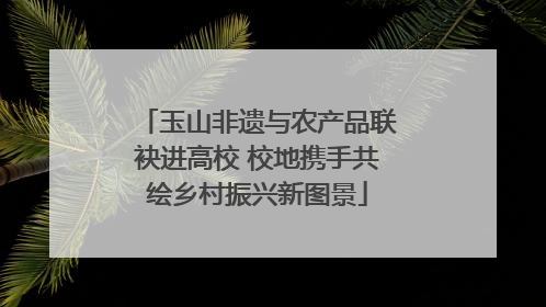 玉山非遗与农产品联袂进高校 校地携手共绘乡村振兴新图景