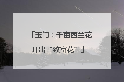 玉门：千亩西兰花开出“致富花”
