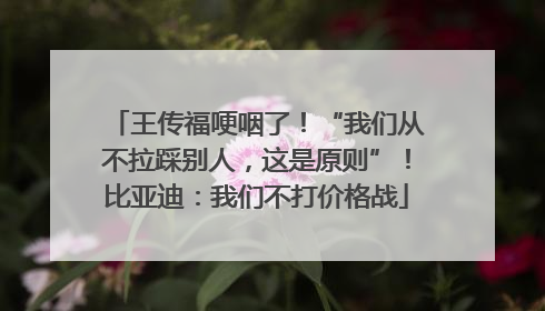 王传福哽咽了！“我们从不拉踩别人，这是原则”！比亚迪：我们不打价格战
