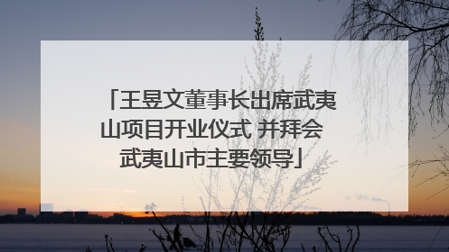 王昱文董事长出席武夷山项目开业仪式 并拜会武夷山市主要领导