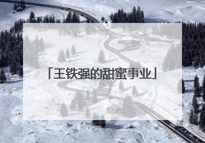 王铁强的甜蜜事业