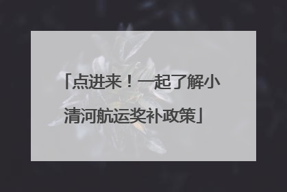 点进来！一起了解小清河航运奖补政策