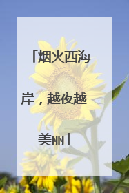 烟火西海岸，越夜越美丽