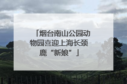 烟台南山公园动物园喜迎上海长颈鹿“新娘”