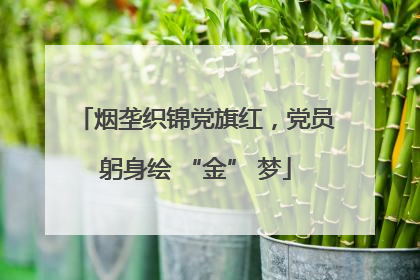 烟垄织锦党旗红，党员躬身绘 “金” 梦