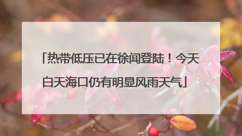 热带低压已在徐闻登陆！今天白天海口仍有明显风雨天气