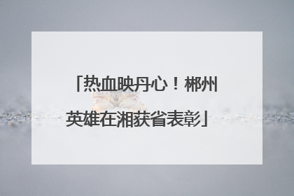 热血映丹心！郴州英雄在湘获省表彰