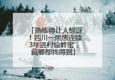 熟练得让人惊讶！四川一黑熊连续3年进村偷蜂蜜，藏哪都找得到