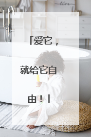 爱它，就给它自由！