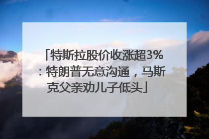特斯拉股价收涨超3%：特朗普无意沟通，马斯克父亲劝儿子低头