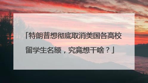 特朗普想彻底取消美国各高校留学生名额，究竟想干啥？