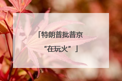 特朗普批普京“在玩火”