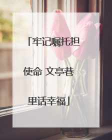 牢记嘱托担使命 文亭巷里话幸福