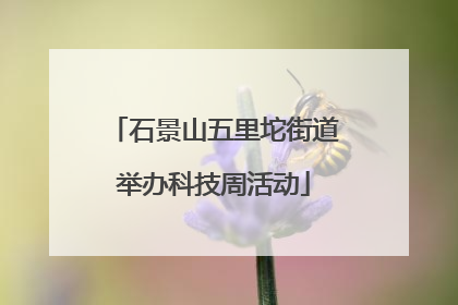 石景山五里坨街道举办科技周活动