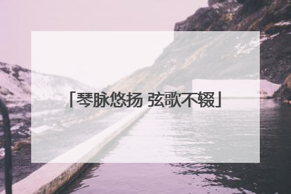 琴脉悠扬 弦歌不辍