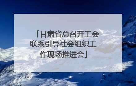 甘肃省总召开工会联系引导社会组织工作现场推进会