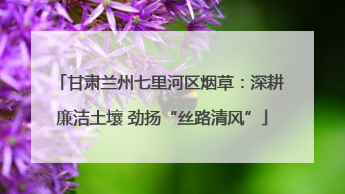 甘肃兰州七里河区烟草：深耕廉洁土壤 劲扬“丝路清风”