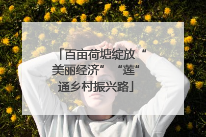 百亩荷塘绽放“美丽经济”“莲”通乡村振兴路