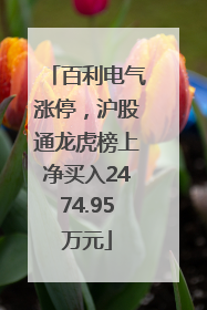 百利电气涨停，沪股通龙虎榜上净买入2474.95万元