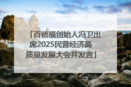 百德福创始人冯卫出席2025民营经济高质量发展大会并发言