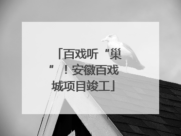 百戏听“巢”！安徽百戏城项目竣工