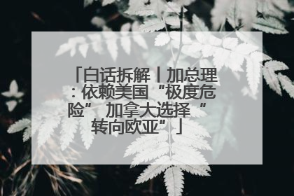 白话拆解丨加总理：依赖美国“极度危险” 加拿大选择“转向欧亚”