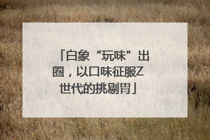 白象“玩味”出圈，以口味征服Z世代的挑剔胃