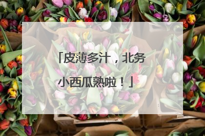 皮薄多汁，北务小西瓜熟啦！