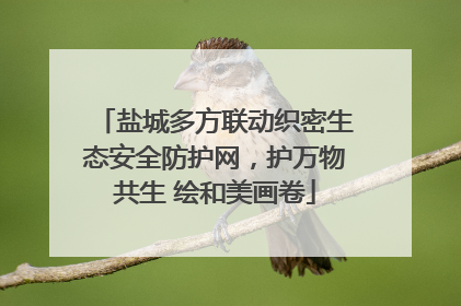 盐城多方联动织密生态安全防护网，护万物共生 绘和美画卷