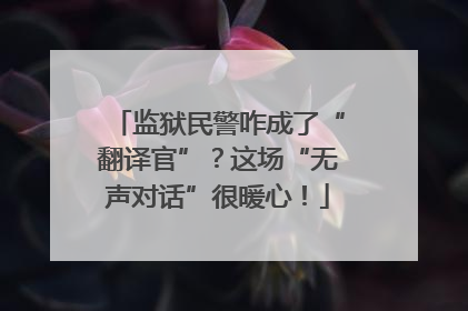 监狱民警咋成了“翻译官”？这场“无声对话”很暖心！