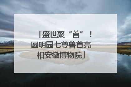 盛世聚“首”！圆明园七尊兽首亮相安徽博物院