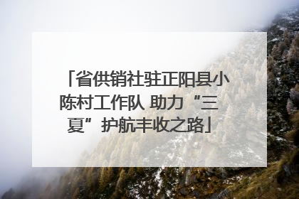 省供销社驻正阳县小陈村工作队 助力“三夏”护航丰收之路