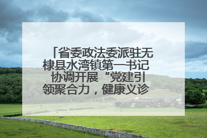 省委政法委派驻无棣县水湾镇第一书记 协调开展“党建引领聚合力，健康义诊惠乡亲”义诊活动