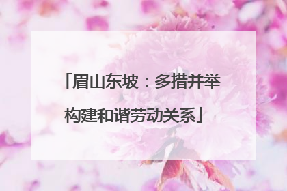 眉山东坡：多措并举构建和谐劳动关系