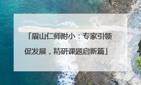 眉山仁师附小：专家引领促发展，精研课题启新篇