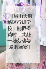 眉山天府新区行知学校：枇杷橙黄时，共赴一场劳动与爱的盛宴