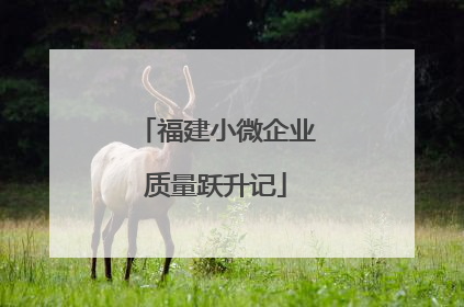 福建小微企业质量跃升记