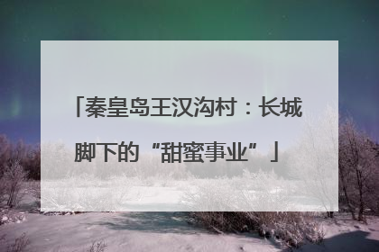 秦皇岛王汉沟村：长城脚下的“甜蜜事业”