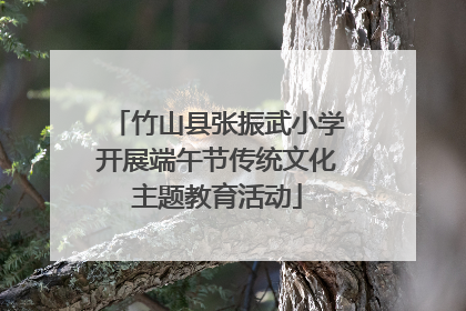 竹山县张振武小学开展端午节传统文化主题教育活动
