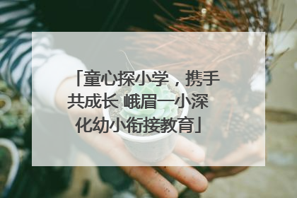 童心探小学，携手共成长 峨眉一小深化幼小衔接教育