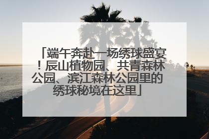 端午奔赴一场绣球盛宴！辰山植物园、共青森林公园、滨江森林公园里的绣球秘境在这里