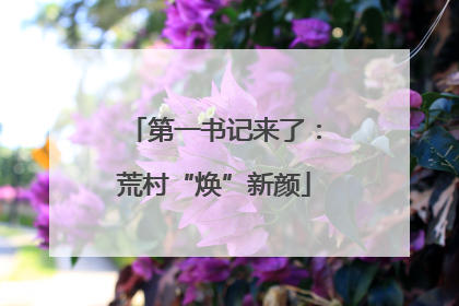 第一书记来了：荒村“焕”新颜