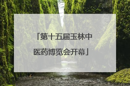 第十五届玉林中医药博览会开幕