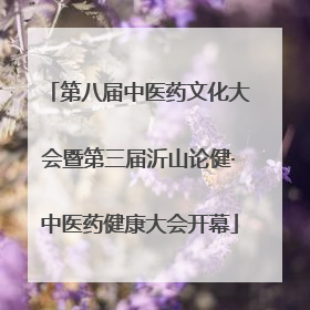 第八届中医药文化大会暨第三届沂山论健·中医药健康大会开幕