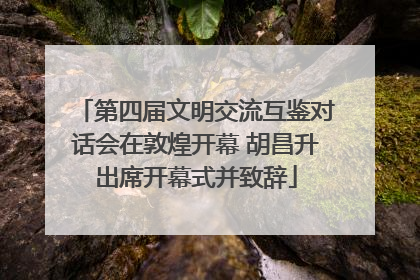 第四届文明交流互鉴对话会在敦煌开幕 胡昌升出席开幕式并致辞