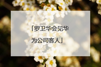 罗卫华会见华为公司客人