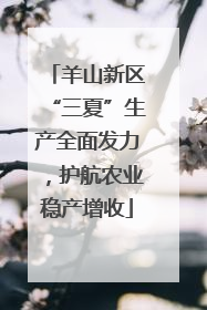 羊山新区“三夏”生产全面发力，护航农业稳产增收