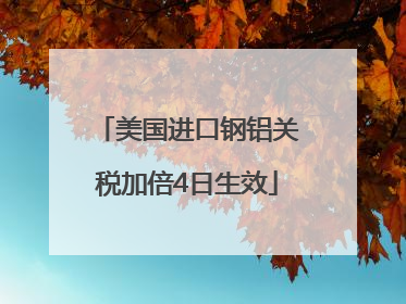 美国进口钢铝关税加倍4日生效