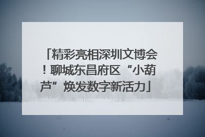 精彩亮相深圳文博会！聊城东昌府区“小葫芦”焕发数字新活力